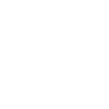 undp_white
